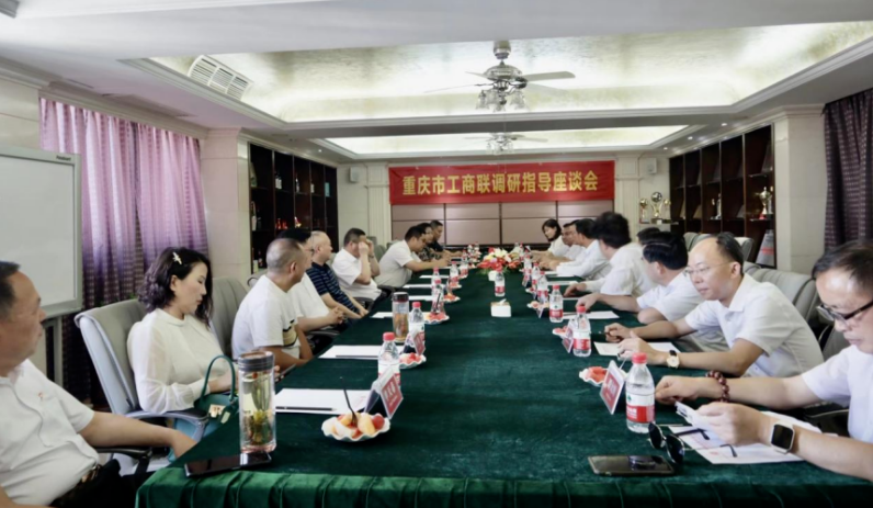 重庆市工商联一行莅临海南省重庆商会调研指导