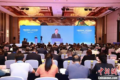聚焦恢复和扩大消费|海南省重庆商会会长王光强参加“中国发展论坛·2023”活动
